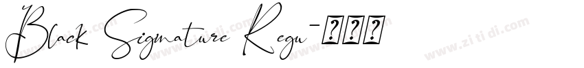 Black Signature Regu字体转换